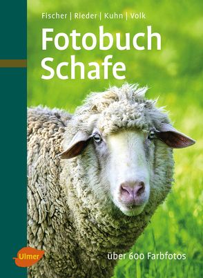 Fotobuch Schafe von Fischer,  Gerhard, Rieder,  Hugo, Volk,  Fridhelm, Volk,  Renate