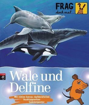 Frag doch mal … die Maus! – Wale und Delfine von Brandstetter,  Johann, Englert,  Sylvia