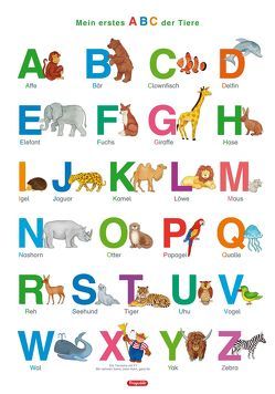 Fragenbär-Lernposter: Mein erstes ABC der Tiere (in der Schulbuch-Druckschrift) L 70 x 100 cm von Fels,  Bengt