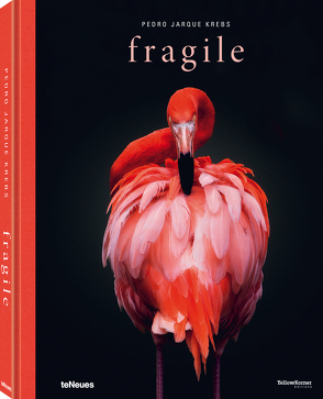 Fragile von Krebs,  Pedro Jarque