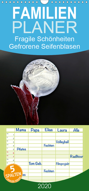 Fragile Schönheiten – Gefrorene Seifenblasen – Familienplaner hoch (Wandkalender 2020 , 21 cm x 45 cm, hoch) von Schiller-Bauer,  Sigrid