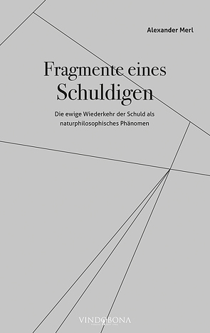 Fragmente eines Schuldigen von Merl,  Alexander