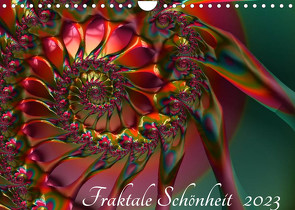 Fraktale Schönheit 2023 (Wandkalender 2023 DIN A4 quer) von M. Burkhardt,  Shako