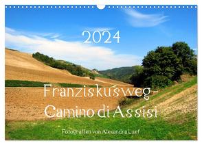 Franziskusweg – Camino di Assisi (Wandkalender 2024 DIN A3 quer), CALVENDO Monatskalender von Luef,  Alexandra