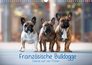 Französische Bulldogge – Clowns auf vier Pfoten (Wandkalender 2022 DIN A3 quer) von Wobith Photography - FotosVonMaja,  Sabrina