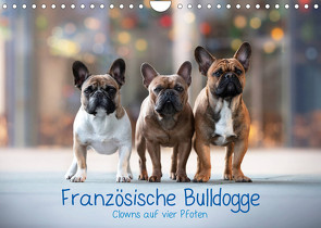 Französische Bulldogge – Clowns auf vier Pfoten (Wandkalender 2023 DIN A4 quer) von Wobith Photography - FotosVonMaja,  Sabrina