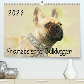 Französische Bulldoggen 2022 (Premium, hochwertiger DIN A2 Wandkalender 2022, Kunstdruck in Hochglanz) von Redecker,  Andrea