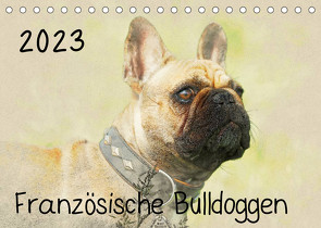 Französische Bulldoggen 2023 (Tischkalender 2023 DIN A5 quer) von Redecker,  Andrea