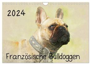 Französische Bulldoggen 2024 (Wandkalender 2024 DIN A4 quer), CALVENDO Monatskalender von Redecker,  Andrea