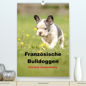 Französische Bulldoggen – Eine Bully Liebeserkärung (Premium, hochwertiger DIN A2 Wandkalender 2023, Kunstdruck in Hochglanz) von Obermüller,  Yvonne