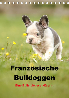 Französische Bulldoggen – Eine Bully Liebeserkärung (Tischkalender 2023 DIN A5 hoch) von Obermüller,  Yvonne