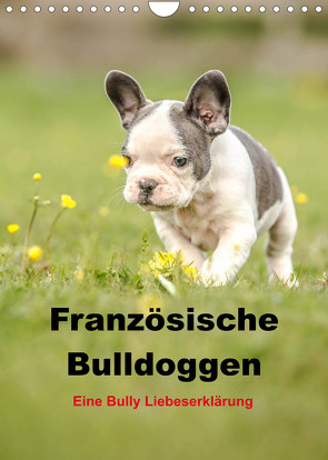 Französische Bulldoggen – Eine Bully Liebeserkärung (Wandkalender 2023 DIN A4 hoch) von Obermüller,  Yvonne