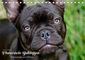 Französische Bulldoggen – Schutzengel auf 4 Pfoten (Tischkalender 2022 DIN A5 quer) von Grüttner,  Kerstin