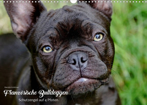 Französische Bulldoggen – Schutzengel auf 4 Pfoten (Wandkalender 2022 DIN A3 quer) von Grüttner,  Kerstin