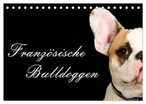 Französische Bulldoggen (Tischkalender 2024 DIN A5 quer), CALVENDO Monatskalender von Noack,  Nicole