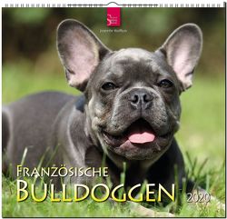 Französische Bulldoggen von Hutfluss,  Jeanette