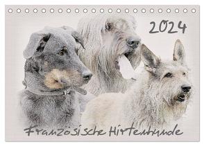 Französische Hirtenhunde 2024 (Tischkalender 2024 DIN A5 quer), CALVENDO Monatskalender von Redecker,  Andrea