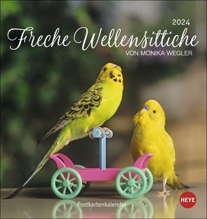 Freche Wellensittiche Postkartenkalender 2024 von Monika Wegler