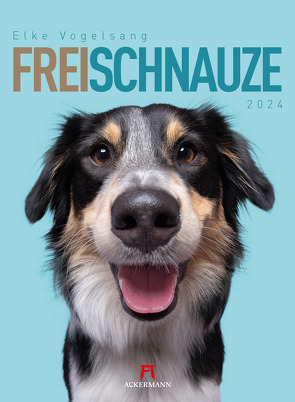 Frei Schnauze – Elke Vogelsang – Kalender 2024 von Vogelsang,  Elke