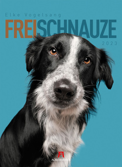 Frei Schnauze Kalender 2023 von Vogelsang,  Elke