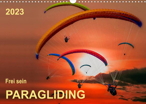 Frei sein – Paragliding (Wandkalender 2023 DIN A3 quer) von Roder,  Peter