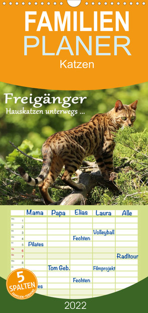 Freigänger – Hauskatzen unterwegs – Familienplaner hoch (Wandkalender 2022 , 21 cm x 45 cm, hoch) von Schmäing,  Werner