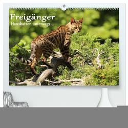 Freigänger – Hauskatzen unterwegs (hochwertiger Premium Wandkalender 2024 DIN A2 quer), Kunstdruck in Hochglanz von Schmäing,  Werner