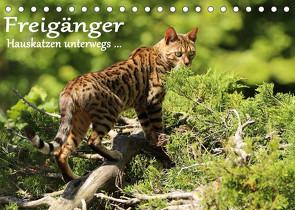 Freigänger – Hauskatzen unterwegs (Tischkalender 2022 DIN A5 quer) von Schmäing,  Werner