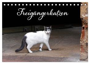 Freigängerkatzen (Tischkalender 2024 DIN A5 quer), CALVENDO Monatskalender von Rütten,  Kristina