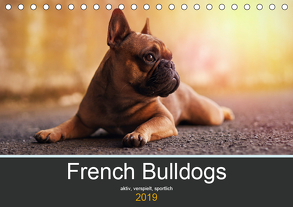 French Bulldog aktiv, verspielt, sportlich (Tischkalender 2019 DIN A5 quer) von Block,  Janina