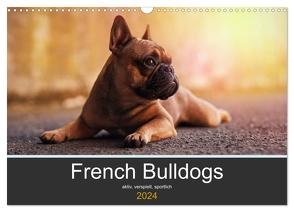 French Bulldog aktiv, verspielt, sportlich (Wandkalender 2024 DIN A3 quer), CALVENDO Monatskalender von Block,  Janina