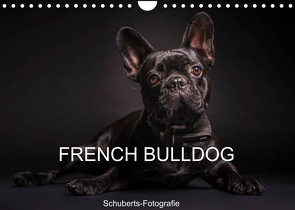 French Bulldog (Wandkalender 2023 DIN A4 quer) von Schuberts-Fotografie