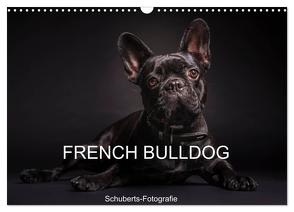 French Bulldog (Wandkalender 2024 DIN A3 quer), CALVENDO Monatskalender von Schuberts-Fotografie,  Schuberts-Fotografie