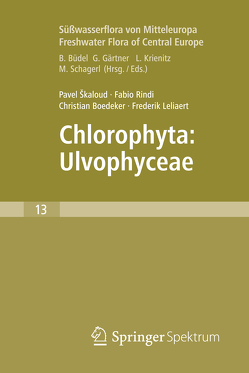 Freshwater Flora of Central Europe, Vol 13: Chlorophyta: Ulvophyceae (Süßwasserflora von Mitteleuropa, Bd. 13: Chlorophyta: Ulvophyceae) von Boedeker,  Christian, Leliaert,  Frederik, Rindi,  Fabio, Škaloud,  Pavel