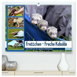 Frettchen – Freche Kobolde (hochwertiger Premium Wandkalender 2024 DIN A2 quer), Kunstdruck in Hochglanz von Schmidt,  Bodo