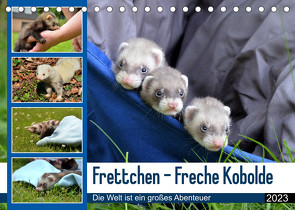 Frettchen – Freche Kobolde (Tischkalender 2023 DIN A5 quer) von Schmidt,  Bodo