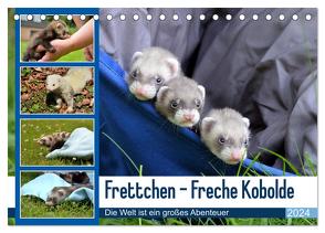 Frettchen – Freche Kobolde (Tischkalender 2024 DIN A5 quer), CALVENDO Monatskalender von Schmidt,  Bodo