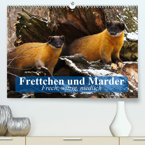 Frettchen und Marder. Frech, witzig, niedlich (Premium, hochwertiger DIN A2 Wandkalender 2021, Kunstdruck in Hochglanz) von Stanzer,  Elisabeth