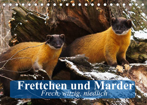 Frettchen und Marder. Frech, witzig, niedlich (Tischkalender 2022 DIN A5 quer) von Stanzer,  Elisabeth