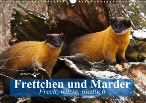 Frettchen und Marder. Frech, witzig, niedlich (Wandkalender 2021 DIN A3 quer) von Stanzer,  Elisabeth