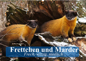 Frettchen und Marder. Frech, witzig, niedlich (Wandkalender 2022 DIN A2 quer) von Stanzer,  Elisabeth