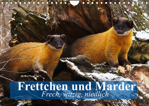 Frettchen und Marder. Frech, witzig, niedlich (Wandkalender 2022 DIN A4 quer) von Stanzer,  Elisabeth