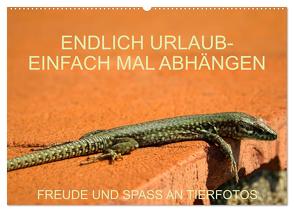 Freude und Spaß an Tierfotos (Wandkalender 2024 DIN A2 quer), CALVENDO Monatskalender von Jäger,  Anette