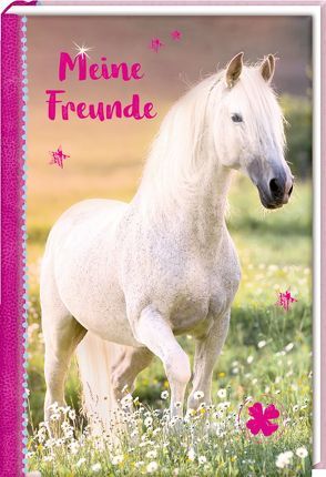 Freundebuch – Pferdefreunde – Meine Freunde von Roß,  Thea