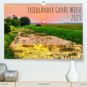 Friedländer Große Wiese (Premium, hochwertiger DIN A2 Wandkalender 2023, Kunstdruck in Hochglanz) von Rogalski,  Solveig