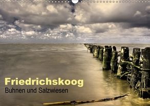 Friedrichskoog Buhnen und Salzwiesen (Wandkalender 2018 DIN A3 quer) von Petra Voß,  ppicture-