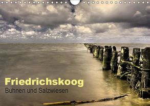 Friedrichskoog Buhnen und Salzwiesen (Wandkalender 2019 DIN A4 quer) von Petra Voß,  ppicture-