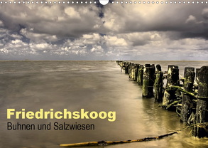 Friedrichskoog Buhnen und Salzwiesen (Wandkalender 2020 DIN A3 quer) von Petra Voß,  ppicture-