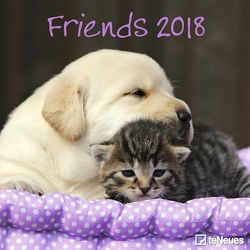 Friends 2018