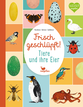 Frisch geschlüpft! – Tiere und ihre Eier von Bártová,  Eva, Ilčík,  Matej, Nováková,  Markéta, Sedláková,  Blanka, Wissmann,  Jorunn